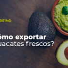 Cómo exportar aguacates frescos?