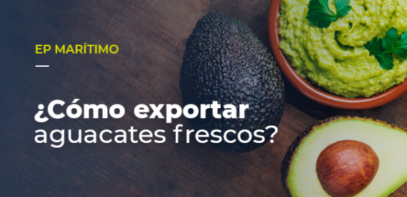 Cómo exportar aguacates frescos?