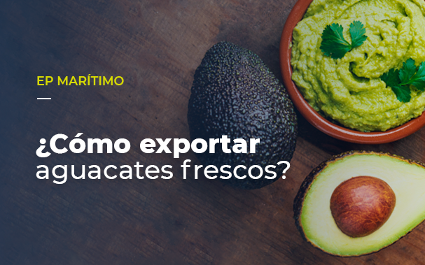 Cómo exportar aguacates frescos?