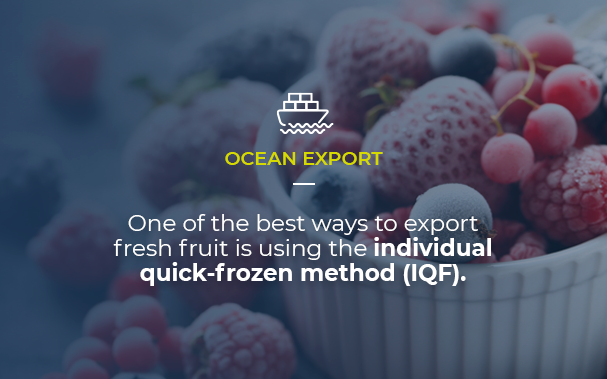 Over a picture of nice frozen berries in a pot, we present an insight of the article: first, that it is about ocean exports, and then that one of the best ways to export fresh fruit is using the individual quick frozen method (IQF).