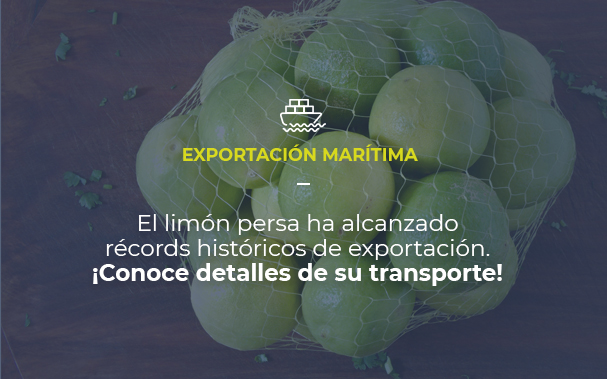 Imagen de una bolsa de limones persa. EXPORTACIÓN MARÍTIMA El limón persa ha alcanzado récords históricos de exportación. ¡Conoce detalles de su transporte!