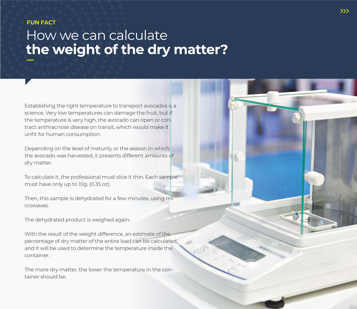 How can we calculate the weight of the dry matter?