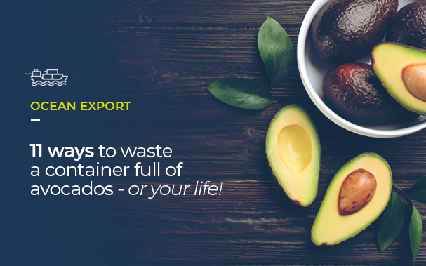 OCEAN EXPORT - 11 ways to waste a container full of avocados - or your life!