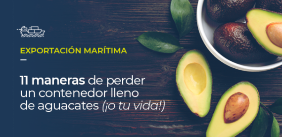 EXPORTACIÓN MARITIMA - 11 maneras de perder un contenedor lleno de aguacates, o tu vida!