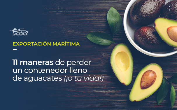 EXPORTACIÓN MARITIMA - 11 maneras de perder un contenedor lleno de aguacates, o tu vida!